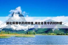 <b>����������ҩ����ֲ,����������ҩ����ֲ</b>