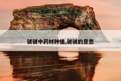 <b>ҩֲ,뽵˼</b>