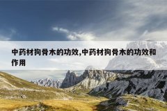 <b>��ҩ�Ĺ���ľ�Ĺ�Ч,��ҩ�Ĺ���ľ�Ĺ�Ч������</b>