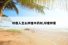 <b>ӡ������ô��ֲ��ҩ��,ӡ���ֲ�</b>