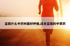 <b>����ʲô��ҩ�������ֲ,�ʺ����Ե��в�ҩ</b>