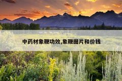 <b>��ҩ����޹�Ч,���ͼƬ�ͼ�Ǯ</b>