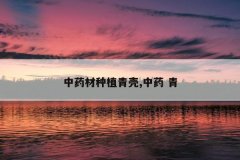 <b>��ҩ����ֲ���,��ҩ ��</b>