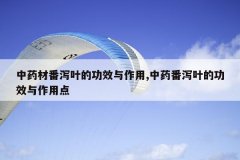 <b>ҩķкҶĹЧ,ҩкҶĹЧõ</b>