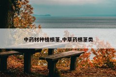 <b>��ҩ����ֲ����,�в�ҩ������</b>