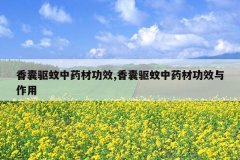 <b>����������ҩ�Ĺ�Ч,����������ҩ�Ĺ�Ч������</b>