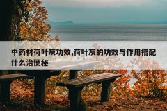 <b>��ҩ�ĺ�Ҷ�ҹ�Ч,��Ҷ�ҵĹ�Ч�����ô���ʲô�α���</b>