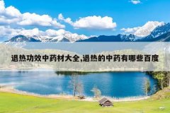 <b>���ȹ�Ч��ҩ�Ĵ�ȫ,���ȵ���ҩ����Щ�ٶ�</b>