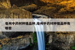 <b>������ҩ����ֲƷ��,������ҩ����ֲƷ������Щ</b>