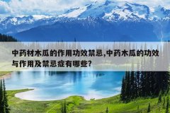 <b>��ҩ��ľ�ϵ����ù�Ч����,��ҩľ�ϵĹ�Ч�����ü�����֢����Щ?</b>