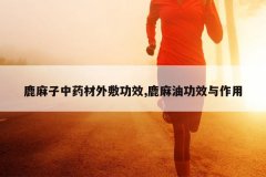 <b>¹������ҩ�����Ч,¹���͹�Ч������</b>