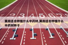 <b>�����ʺ���ֲʲô��ҩ��,�����ʺ���ֲʲô��ҩ������</b>