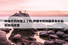 <b>��ֲ��ҩ�ĸ�������,��ֲ��ҩ�Ĺ����в����ͷ�������</b>