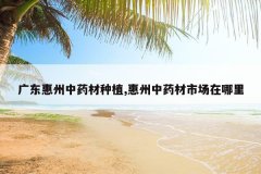 <b>�㶫������ҩ����ֲ,������ҩ���г�������</b>