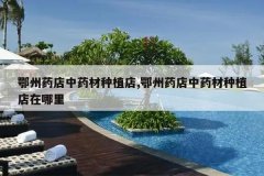 <b>����ҩ����ҩ����ֲ��,����ҩ����ҩ����ֲ��������</b>