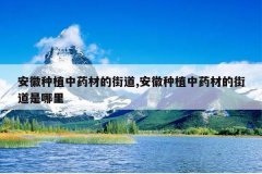 <b>������ֲ��ҩ�ĵĽֵ�,������ֲ��ҩ�ĵĽֵ�������</b>