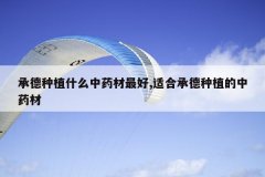 <b>�е���ֲʲô��ҩ�����,�ʺϳе���ֲ����ҩ��</b>