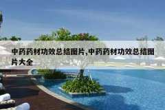 <b>��ҩҩ�Ĺ�Ч�ܽ�ͼƬ,��ҩҩ�Ĺ�Ч�ܽ�ͼƬ��ȫ</b>