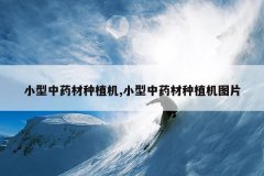 <b>С����ҩ����ֲ��,С����ҩ����ֲ��ͼƬ</b>