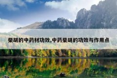 <b>�������ҩ�Ĺ�Ч,��ҩ����Ĺ�Ч�����õ�</b>