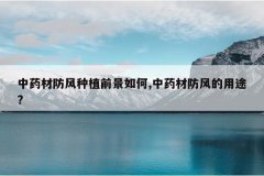 <b>��ҩ�ķ�����ֲǰ�����,��ҩ�ķ������;?</b>