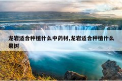 <b>�����ʺ���ֲʲô��ҩ��,�����ʺ���ֲʲô����</b>