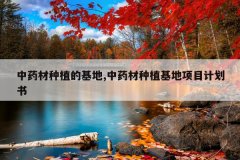 <b>��ҩ����ֲ�Ļ���,��ҩ����ֲ������Ŀ�ƻ���</b>