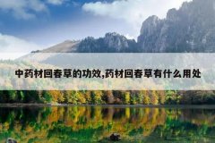 <b>��ҩ�Ļش��ݵĹ�Ч,ҩ�Ļش�����ʲô�ô�</b>