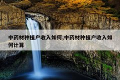 <b>��ҩ����ֲ���������,��ҩ����ֲ��������μ���</b>