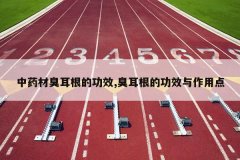 <b>��ҩ�ĳ������Ĺ�Ч,�������Ĺ�Ч�����õ�</b>