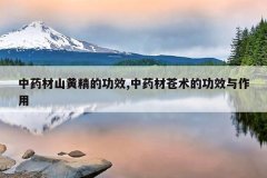 <b>��ҩ��ɽ�ƾ��Ĺ�Ч,��ҩ�Ĳ����Ĺ�Ч������</b>