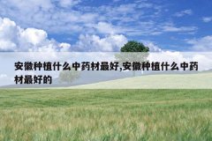 <b>������ֲʲô��ҩ�����,������ֲʲô��ҩ����õ�</b>