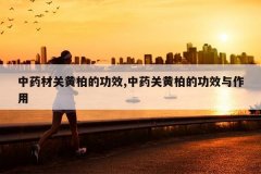 <b>��ҩ�ĹػưصĹ�Ч,��ҩ�ػưصĹ�Ч������</b>