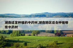 <b>����������ֲ����ҩ��,���ϵ����ʺ���ֲ��Щ��ҩ��</b>