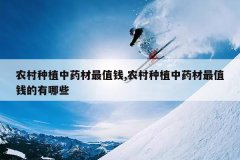 <b>ũ����ֲ��ҩ����ֵǮ,ũ����ֲ��ҩ����ֵǮ������Щ</b>