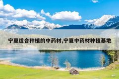 <b>�����ʺ���ֲ����ҩ��,������ҩ����ֲ����</b>