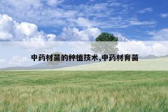 <b>��ҩ�������ֲ����,��ҩ������</b>