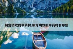 <b>�ƶ���Ч����ҩ��,�ƶ���Ч����ҩ������Щ</b>