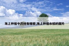 <b>������ֲ��ҩ������Щ,������ֲˮ����ͼƬ</b>