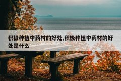 <b>������ֲ��ҩ�ĵĺô�,������ֲ��ҩ�ĵĺô���ʲô</b>