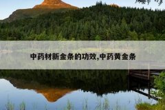 <b>��ҩ���½����Ĺ�Ч,��ҩ�ƽ���</b>