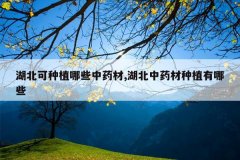 <b>��������ֲ��Щ��ҩ��,������ҩ����ֲ����Щ</b>