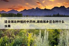 <b>ʺ汱ֲҩ,ʺʲôˮ</b>