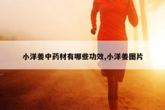 <b>С����ҩ������Щ��Ч,С��ͼƬ</b>