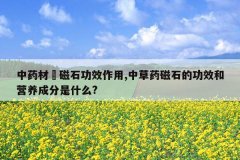 <b>��ҩ�ğ���ʯ��Ч����,�в�ҩ��ʯ�Ĺ�Ч��Ӫ���ɷ���ʲô?</b>