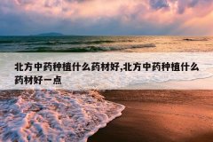 <b>������ҩ��ֲʲôҩ�ĺ�,������ҩ��ֲʲôҩ�ĺ�һ��</b>