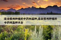 <b>�ʺϽ�����ֲ����ҩ��Ʒ��,�ʺϽ�����ֲ����ҩ��Ʒ�ִ�ȫ</b>