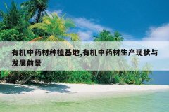 <b>лҩֲ,лҩ״뷢չǰ</b>