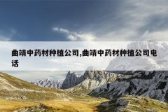 <b>������ҩ����ֲ��˾,������ҩ����ֲ��˾�绰</b>