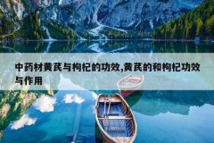<b>ҩĻ轵ĹЧ,εĺ轹Ч</b>